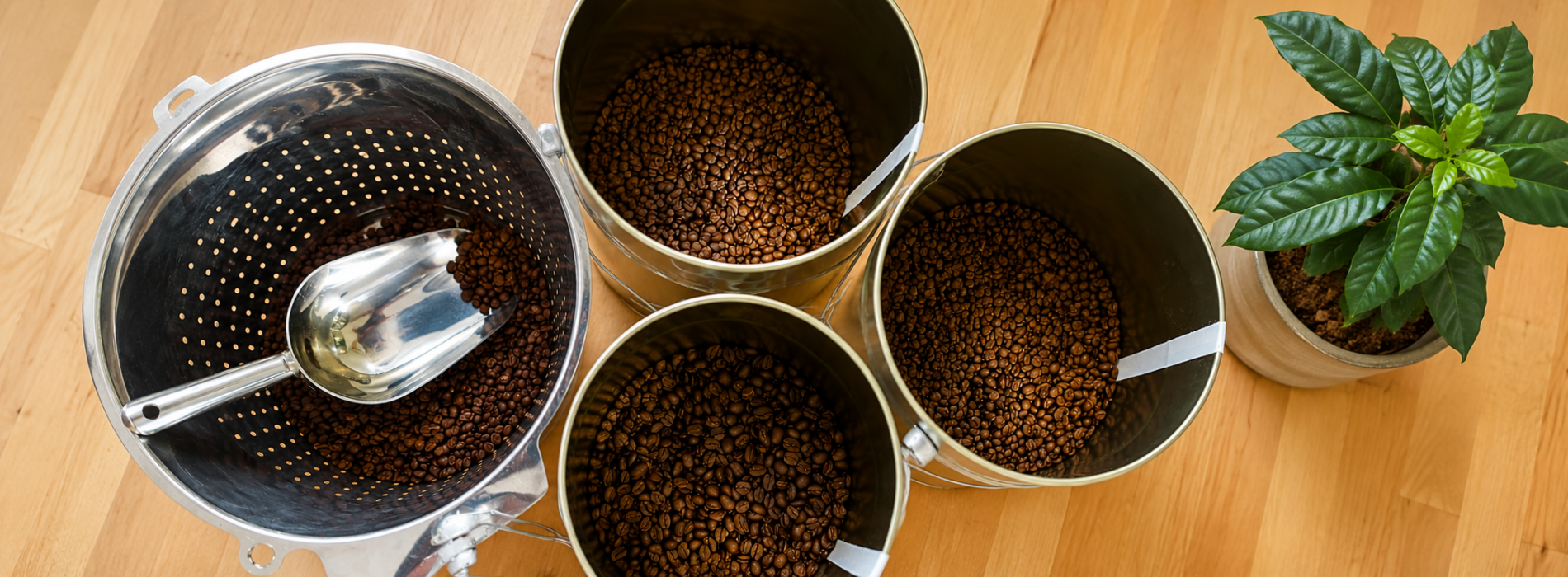 Thymian Kaffeerösterei Kaffeerösterei in Konz-Oberemmel